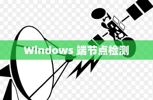 Windows 端节点检测