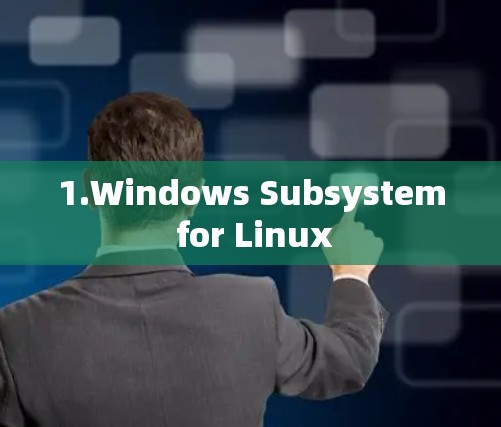 1.Windows Subsystem for Linux 1.Windows Subsystem for Linux