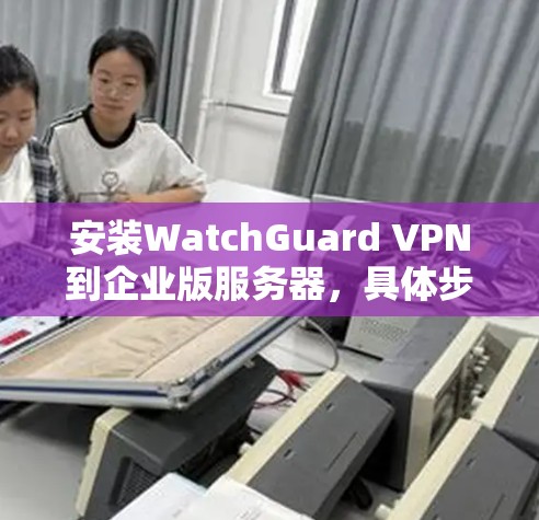 安装WatchGuard VPN到企业版服务器，具体步骤如下