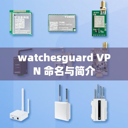 watchesguard VPN 命名与简介 watchesguard VPN 命名与简介