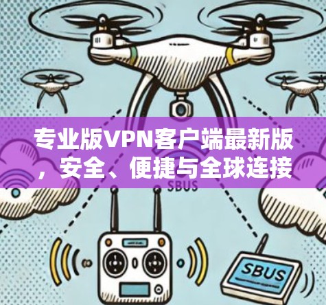 专业版VPN客户端最新版，安全、便捷与全球连接