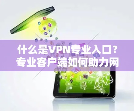 什么是VPN专业入口？专业客户端如何助力网络安全