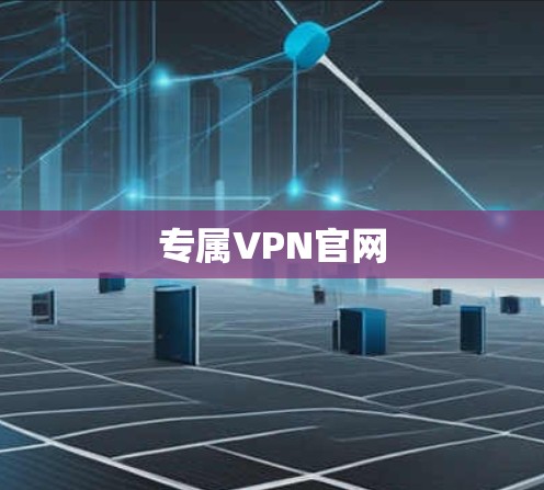 专属VPN官网