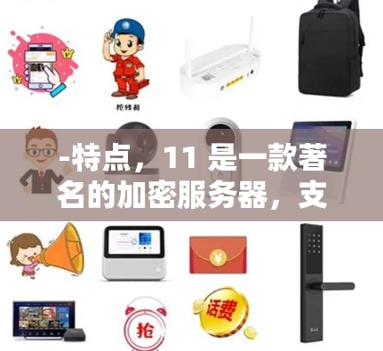 -特点，11 是一款著名的加密服务器，支持高速连接和多设备连接