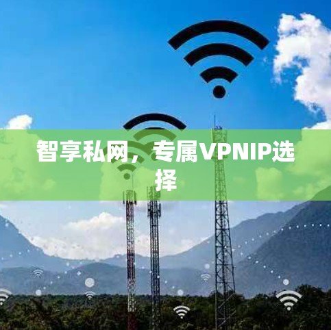 智享私网，专属VPNIP选择