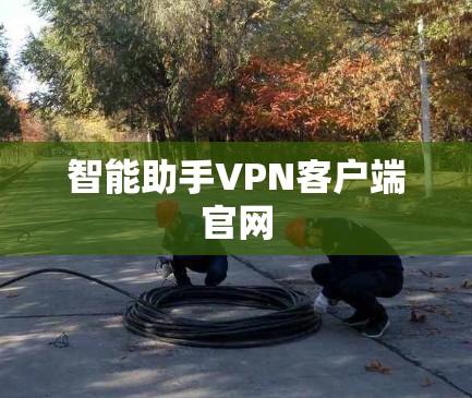 智能助手VPN客户端官网
