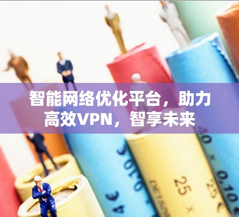 智能网络优化平台，助力高效VPN，智享未来