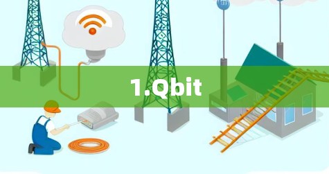 1.Qbit