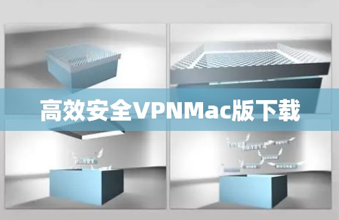 高效安全VPNMac版下载