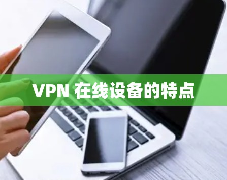 VPN 在线设备的特点 VPN 在线设备的特点