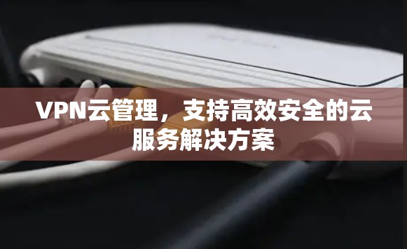 VPN云管理,支持高效安全的云服务解决方案 VPN云管理,支持高效安全的云服务解决方案