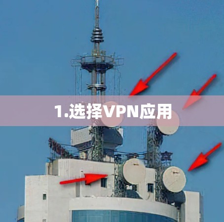 1.选择VPN应用 1.选择VPN应用