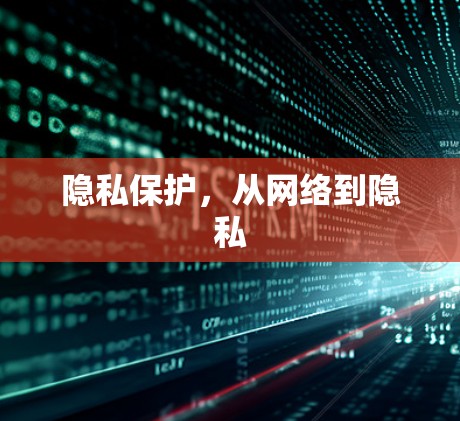 隐私保护,从网络到隐私 隐私保护,从网络到隐私