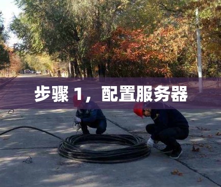 步骤 1,配置服务器 步骤 1,配置服务器