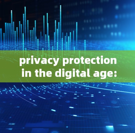 privacy protection in the digital age:explore the world of VPNs privacy protection in the digital age:explore the world of VPNs