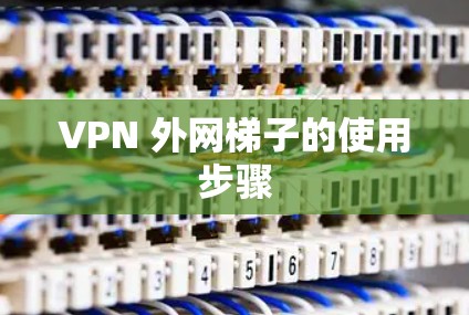 VPN 外网梯子的使用步骤 VPN 外网梯子的使用步骤