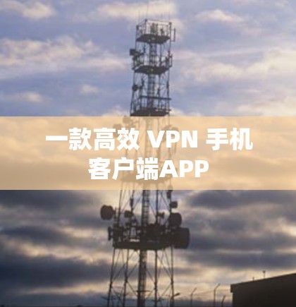 一款高效 VPN 手机客户端APP 一款高效 VPN 手机客户端APP