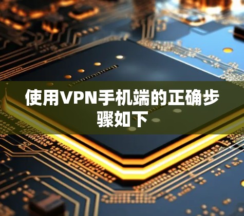 使用VPN手机端的正确步骤如下