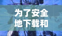 为了安全地下载和安装VPN软件,可以按照以下步骤进行 为了安全地下载和安装VPN软件,可以按照以下步骤进行