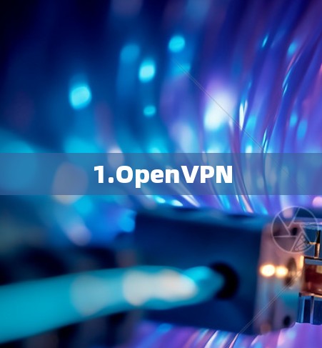 1.OpenVPN 1.OpenVPN