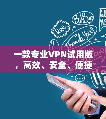 一款专业VPN试用版，高效、安全、便捷，助力您的数据安全
