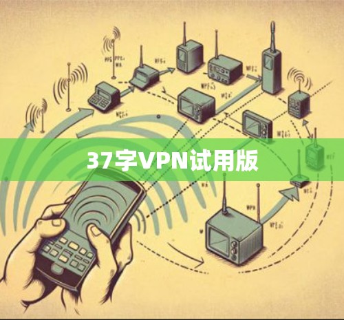 37字VPN试用版