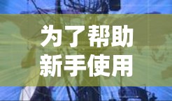 为了帮助新手使用VPN，以下是一个详细的步骤指南，按照步骤操作即可