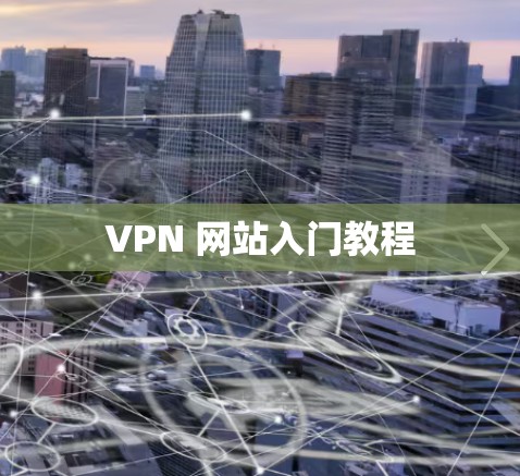 VPN 网站入门教程