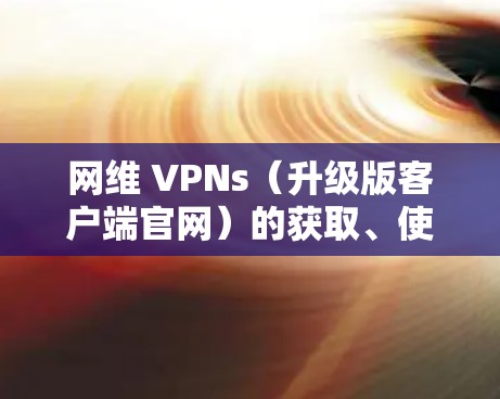 网维 VPNs（升级版客户端官网）的获取、使用和管理