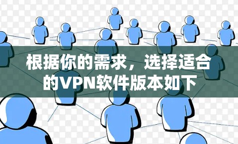 根据你的需求，选择适合的VPN软件版本如下