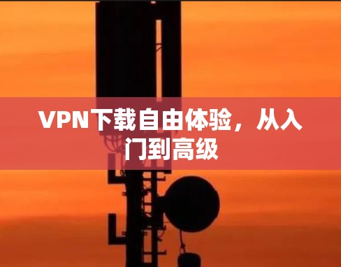 VPN下载自由体验,从入门到高级 VPN下载自由体验,从入门到高级