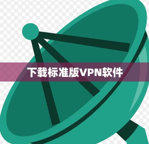 下载标准版VPN软件 下载标准版VPN软件