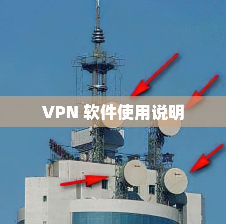 VPN 软件使用说明