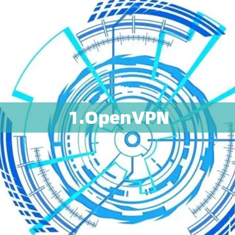 1.OpenVPN 1.OpenVPN
