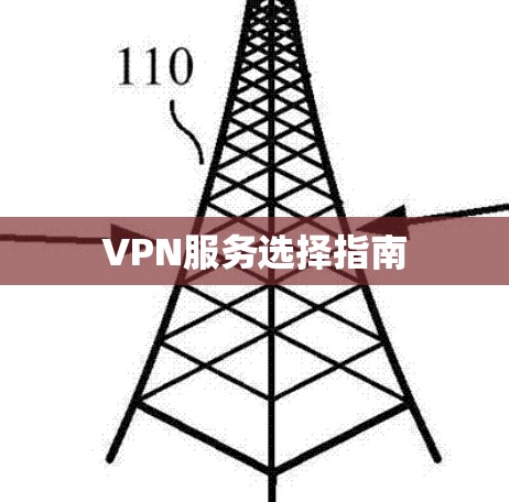 VPN服务选择指南 VPN服务选择指南