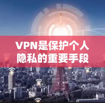 VPN是保护个人隐私的重要手段，通过VPN可以安全地访问网络资源，避免因VPN攻击带来的数据泄露和隐私侵害。以下是几个常见的VPN热门下载入口，供您参考