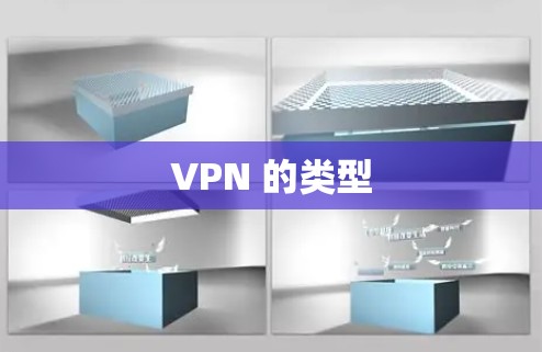 VPN 的类型 VPN 的类型