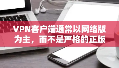 VPN客户端通常以网络版为主，而不是严格的正版软件。由于VPN软件多为网络版，用户下载时通常需要关注软件的安全性和合法性