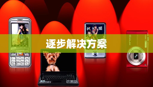 逐步解决方案 逐步解决方案