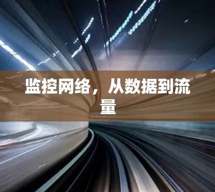 监控网络,从数据到流量 监控网络,从数据到流量