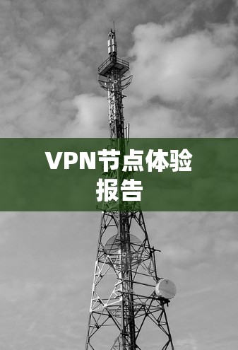 VPN节点体验报告 VPN节点体验报告